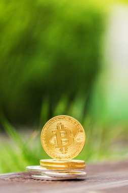 Altın ve gümüş Kripto Döviz Alım bitcoin arka planı yeşil çimen