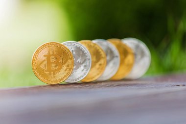 Altın ve gümüş Kripto Döviz Alım bitcoin arka planı yeşil çimen