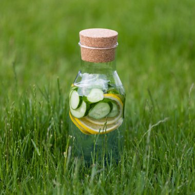 Yaz taze limonata limon, nane ve salatalık. Suyu Detoks