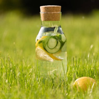 Yaz taze limonata limon, nane ve salatalık. Suyu Detoks