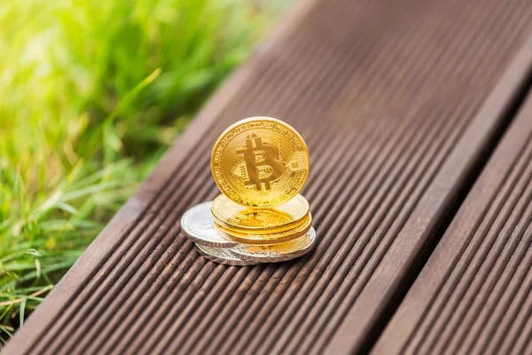 Altın ve gümüş Kripto Döviz Alım bitcoin arka planı yeşil çimen