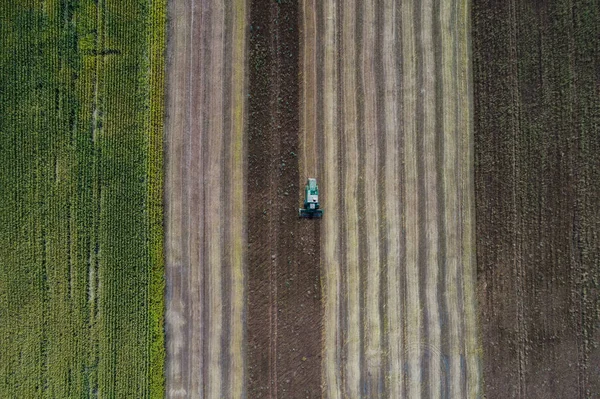 Hasat Mısır ile yeşil bir alanın yanındaki bir alanda bir ürün hasat. Ukrayna. Havadan görünümü.