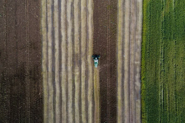 Kombajn do zbiorów upraw w polu obok zielone pole z kukurydzy. Ukraina. Widok z lotu ptaka. — Zdjęcie stockowe
