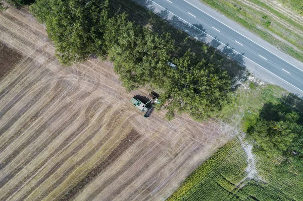 Colheitadeira colhe uma colheita em um campo ao lado de um campo verde com milho. Ucrânia. Vista aérea . — Fotografia de Stock