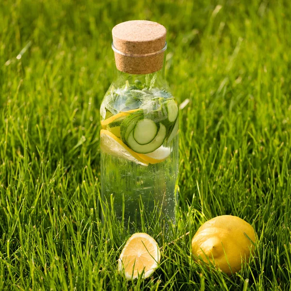 Yaz taze limonata limon, nane ve salatalık. Suyu Detoks