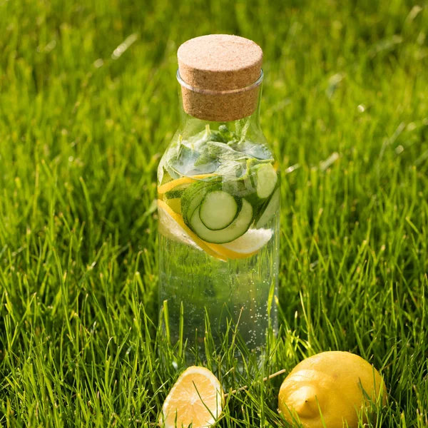 Yaz taze limonata limon, nane ve salatalık. Suyu Detoks