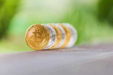 Altın ve gümüş Kripto Döviz Alım bitcoin arka planı yeşil çimen