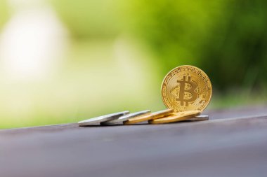Altın ve gümüş Kripto Döviz Alım bitcoin arka planı yeşil çimen