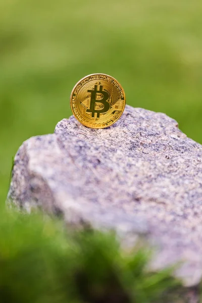 금색과 은색 암호화 통화 bitcoin 녹색 잔디의 배경 — 스톡 사진