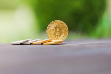 Altın ve gümüş Kripto Döviz Alım bitcoin arka planı yeşil çimen