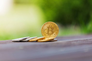 Altın ve gümüş Kripto Döviz Alım bitcoin arka planı yeşil çimen
