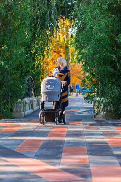 Uma jovem mãe com um carrinho caminha pelo parque de outono — Fotografia de Stock