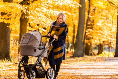 Genç bir anne bir bebek arabası ile sonbahar parkta yürüyor