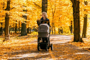 Genç bir anne bir bebek arabası ile sonbahar parkta yürüyor
