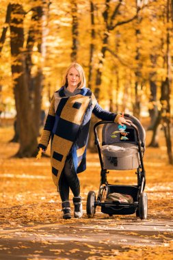 Genç bir anne bir bebek arabası ile sonbahar parkta yürüyor
