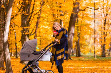 Parkta bir cep telefonu bakarak bir bebek arabası ile genç anne