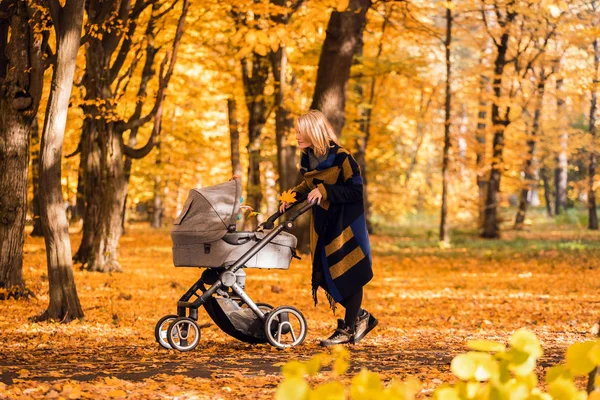 一个年轻母亲与婴儿小推车走过秋天的公园 — 图库照片