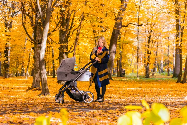 Mladá maminka s kočárkem, při pohledu na mobilní telefon v parku — Stock fotografie