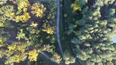 Portakal ağaçları sonbahar bir parkta tepesine videonun havadan görünümü