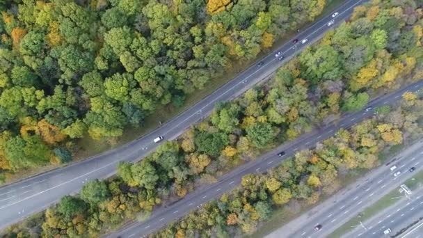 秋の公園ゾーンの真ん中にいくつかの平行道路の空撮. — ストック動画