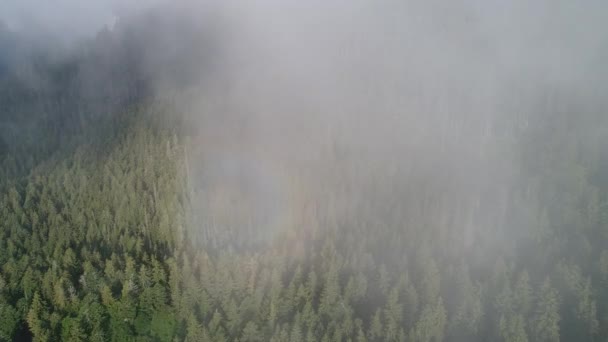 Fliegen über die hohen Berge mit Kiefernwald in schönen Wolken. Luftbild — Stockvideo