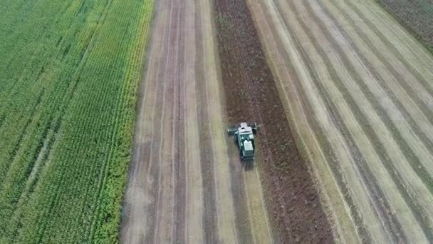 Het combineren verwijdert de splinter na het maaien gebleven. — Stockvideo