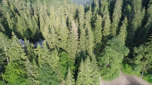 Lago Synevir em montanhas dos Cárpatos na Ucrânia — Vídeo de Stock