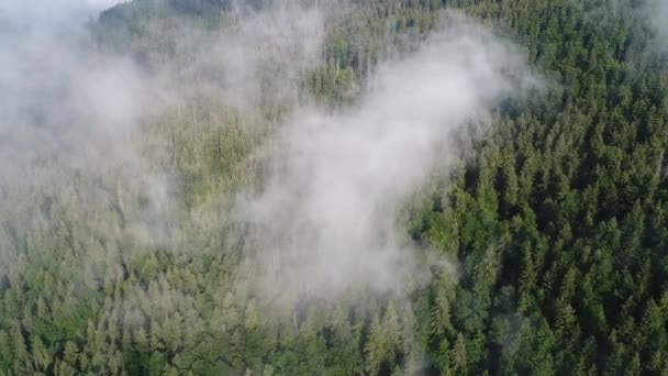 Létání nad vysokými horami s borovicový les v krásné mraky. Letecký pohled — Stock video