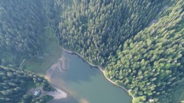 Lake Synevir Ukrayna Karpat dağlarında