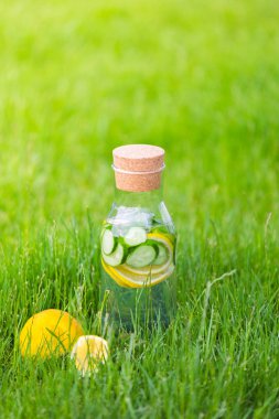 İçki limon ve nane ile yeşil çim zemin üzerine salatalık Detoks