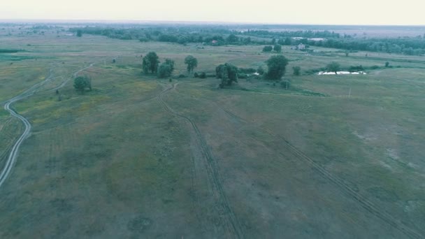 Luchtfoto van de weg tussen de groene velden. — Stockvideo