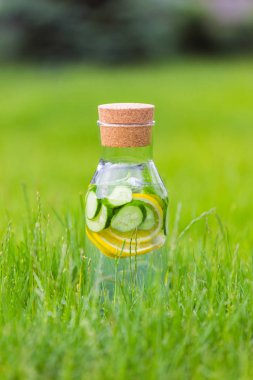 İçki limon ve nane ile yeşil çim zemin üzerine salatalık Detoks