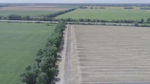 Вид с воздуха на поля и дорогу на переднем плане — стоковое видео