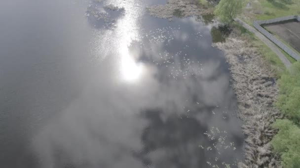 Αεροφωτογραφία του λίμνη στο Korostyshev της Ουκρανίας — Αρχείο Βίντεο