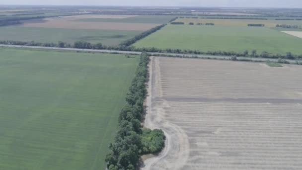 Vista aérea dos campos e da estrada em primeiro plano — Vídeo de Stock