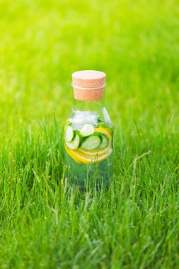 İçki limon ve nane ile yeşil çim zemin üzerine salatalık Detoks