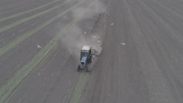 Luftaufnahme des Traktors fährt über das Feld und sprießt Setzlinge — Stockvideo