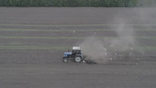 トラクターの空撮のライド フィールドとスプルーの苗を渡る — ストック動画