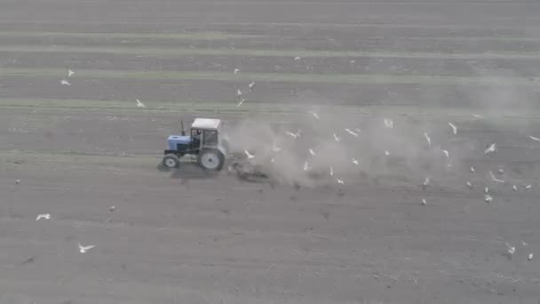 トラクターの空撮のライド フィールドとスプルーの苗を渡る — ストック動画
