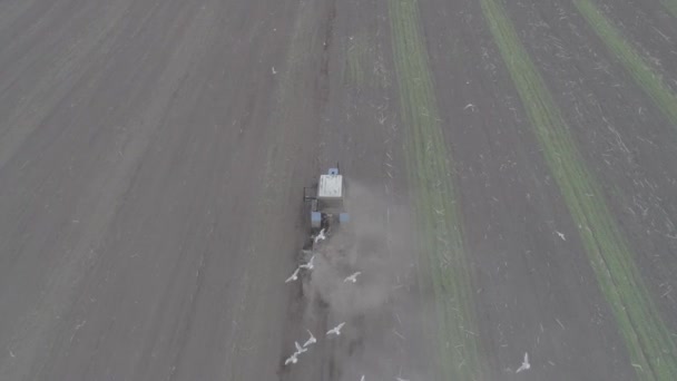 Luftaufnahme des Traktors fährt über das Feld und sprießt Setzlinge — Stockvideo