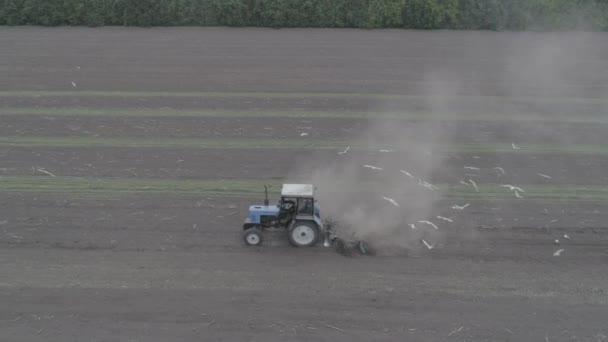 Aerial view of the tractor rides across the field and sprues seedlings — Stock Video