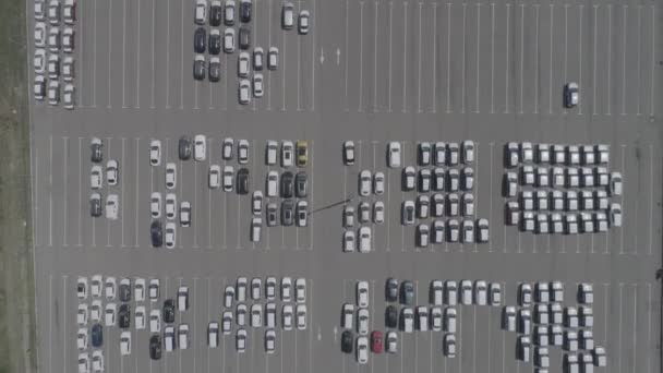 Luchtfoto van nieuwe auto-parkeerplaats voor opslag. Uitzicht op het park van de auto van boven. — Stockvideo