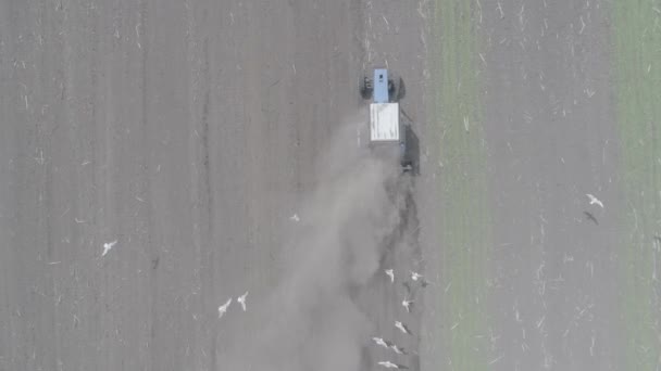 Veduta aerea delle corse trattore attraverso il campo e materozze piantine — Video Stock