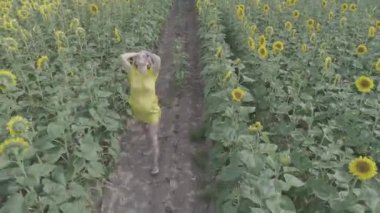 Genç bir hamile kadının havadan görünümü çiçek açan ayçiçeği alanıyla size yürür.