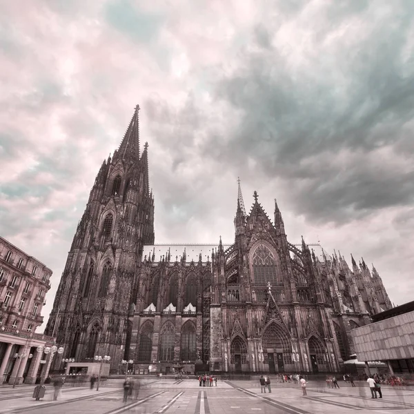 在南侧，德国的科隆大教堂 — 图库照片
