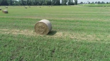 Havadan görünümü ile bir yeşil-turuncu alanının saman saman sheaves yuvarlak. 4k video