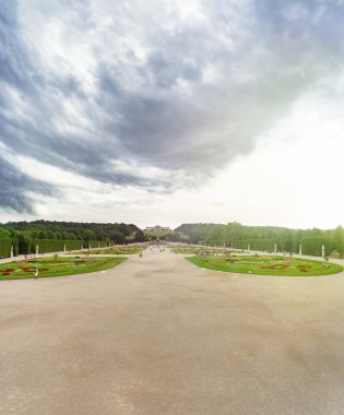 Schonbrunn Schloss Parkı ve Glorietta Pavyonu arka planda, Viyana, Avusturya