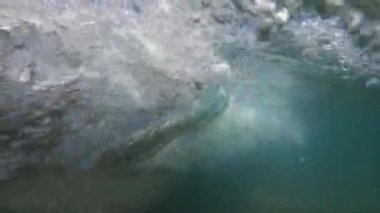 Sinema yavaş çekim videosu ve deniz dalgası tersi.