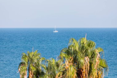 Uzakta yatı ve ön planda palmiye yaprakları olan deniz.