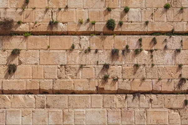 Fragmento do Muro das Lamentações em Jerusalém, Israel — Fotografia de Stock